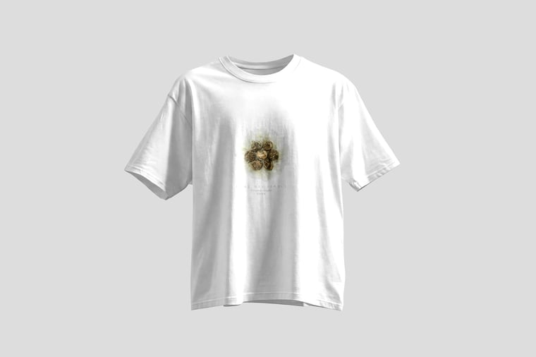 The design — Gòng Méi